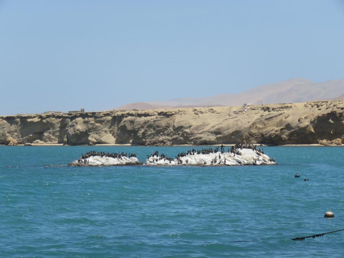 Paracas Apartment Bagian luar foto